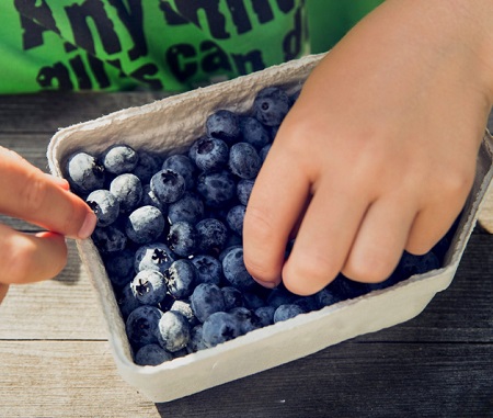 Blueberry Factory